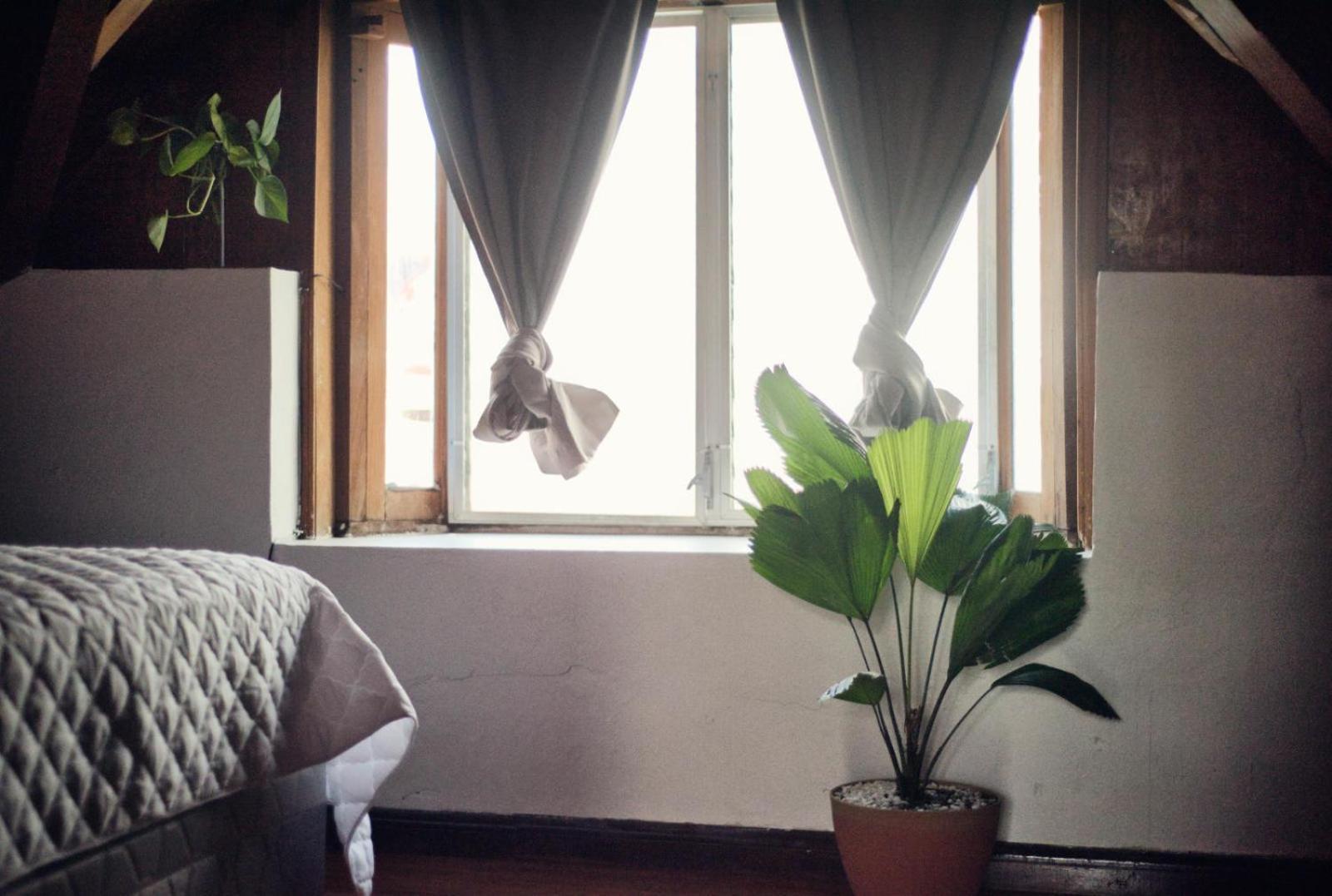 Hostal Don Cenobio Flores Exteriér fotografie
